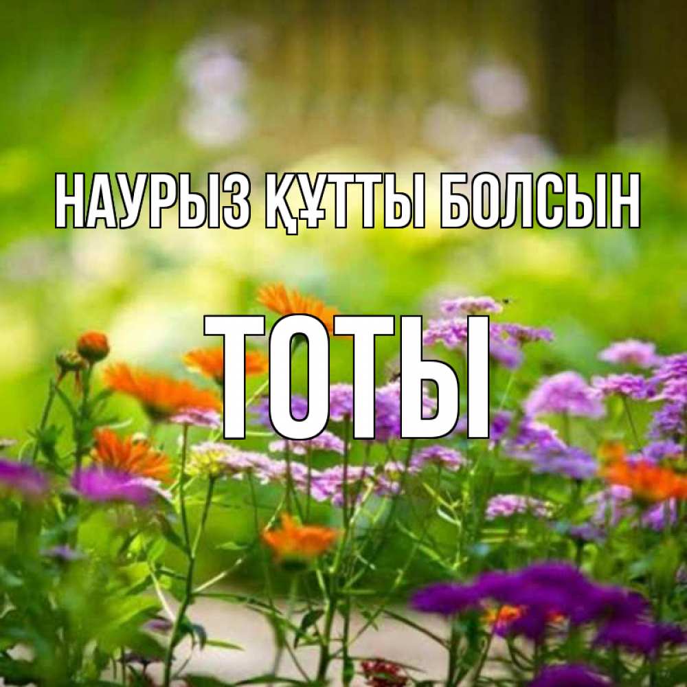 Күн сайын ашық хат с именем, ТОТЫ Наурыз құтты болсын цветы Онлайн тегін жүктеп алу тілектері бар керемет карта 