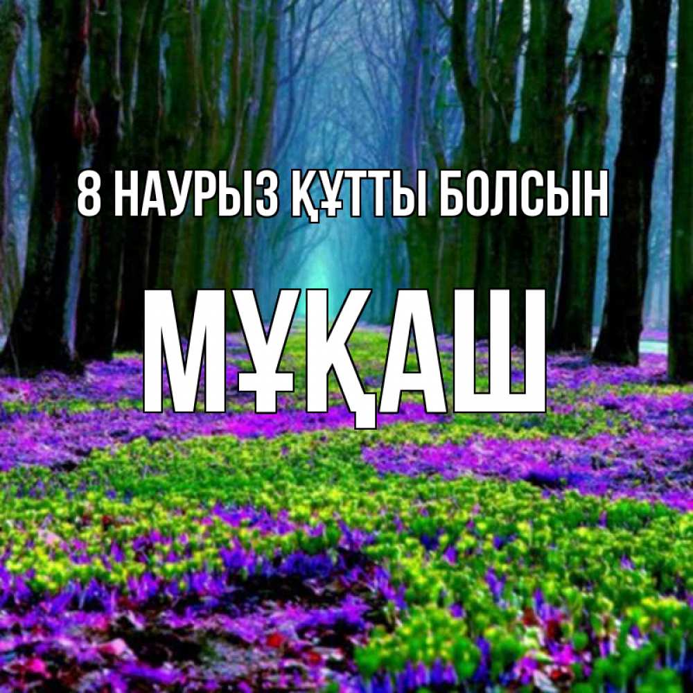 Күн сайын ашық хат с именем, Мұқаш 8 наурыз құтты болсын фиолетовые цветы в лесу 1 Онлайн тегін жүктеп алу тілектері бар керемет карта 