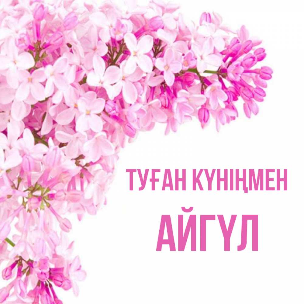Күн сайын ашық хат с именем, АЙГҮЛ Туған күніңмен Сирень на белом фоне Онлайн тегін жүктеп алу тілектері бар керемет карта 