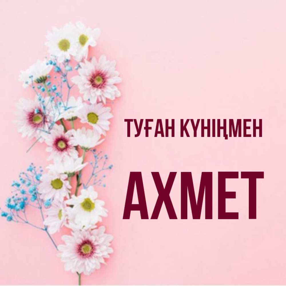 Күн сайын ашық хат с именем, Ахмет Туған күніңмен Родная моя с днем рождения тебя картинка с цветами белыми и голубыми Онлайн тегін жүктеп алу тілектері бар керемет карта 