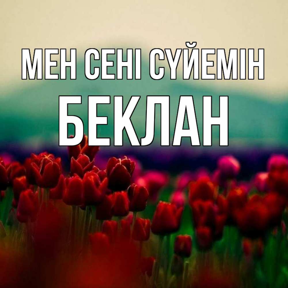 Күн сайын ашық хат с именем, Беклан Мен сені сүйемін тюльпаны 4 Онлайн тегін жүктеп алу тілектері бар керемет карта 
