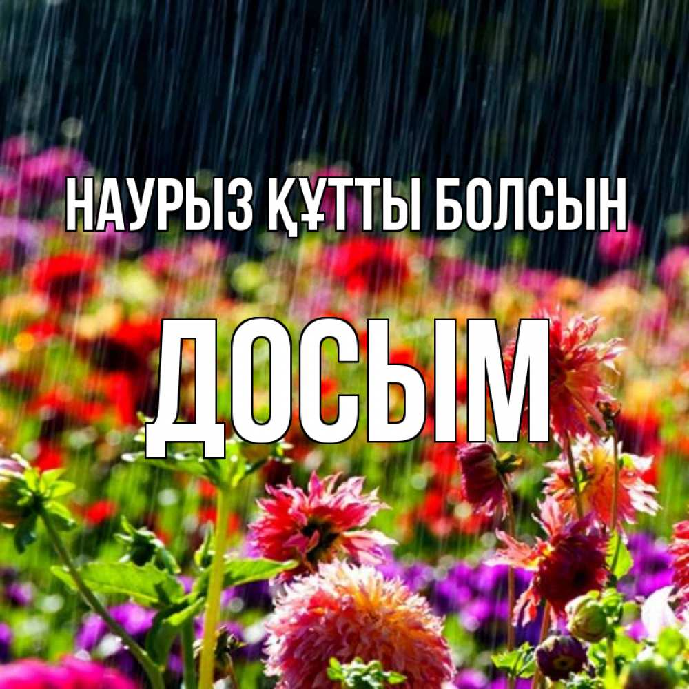 Күн сайын ашық хат с именем, Досым Наурыз құтты болсын цветы под дождиком к наурызу Онлайн тегін жүктеп алу тілектері бар керемет карта 
