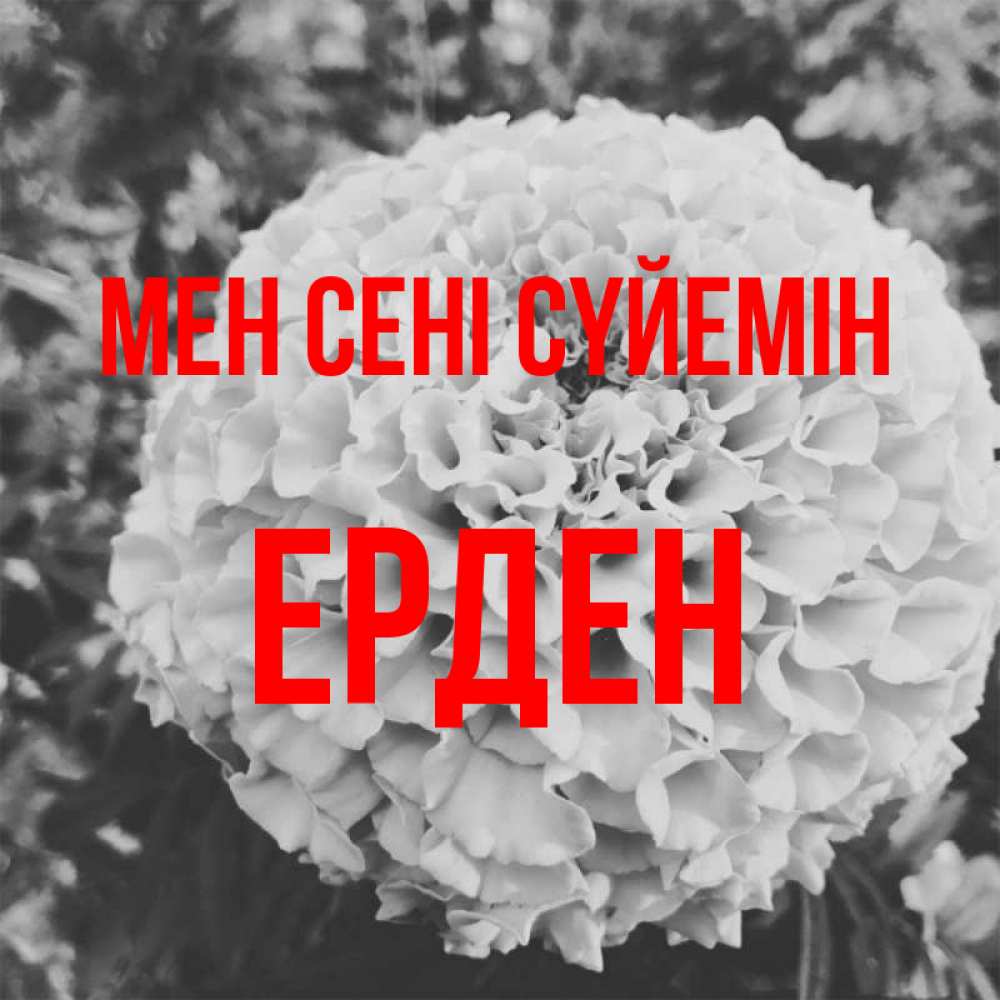 Күн сайын ашық хат с именем, Ерден Мен сені сүйемін подпись Онлайн тегін жүктеп алу тілектері бар керемет карта 