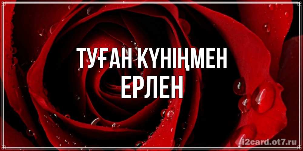 Күн сайын ашық хат с именем, Ерлен Туған күніңмен крупная бордовая роза Онлайн тегін жүктеп алу тілектері бар керемет карта 