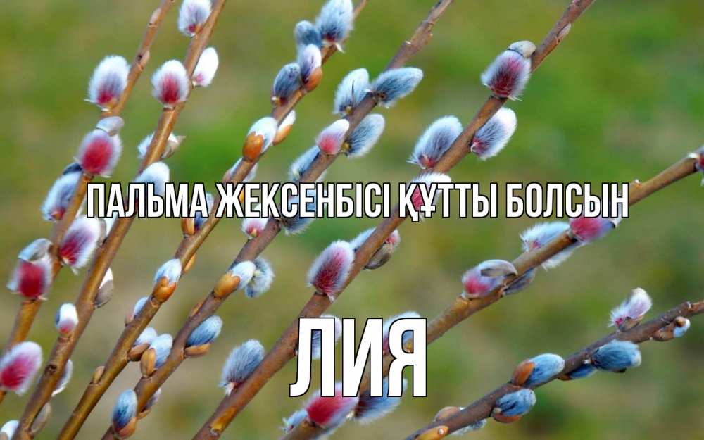 Күн сайын ашық хат с именем, Лия Пальма жексенбісі құтты болсын верба Онлайн тегін жүктеп алу тілектері бар керемет карта 