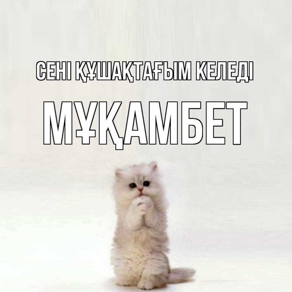 Күн сайын ашық хат с именем, МҰҚАМБЕТ сені құшақтағым келеді открытки с креативными подписями Онлайн тегін жүктеп алу тілектері бар керемет карта 