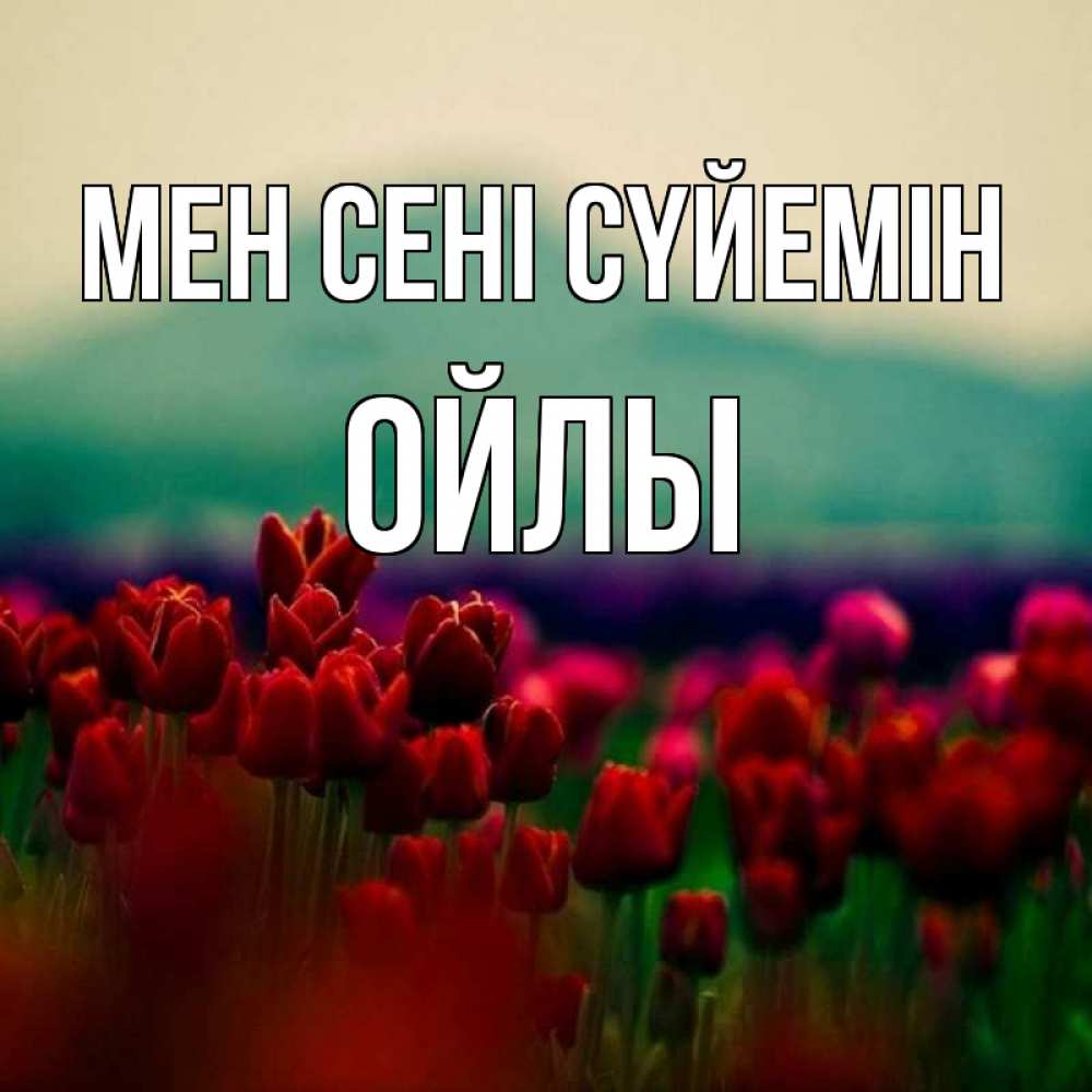 Күн сайын ашық хат с именем, ОЙЛЫ Мен сені сүйемін тюльпаны 4 Онлайн тегін жүктеп алу тілектері бар керемет карта 