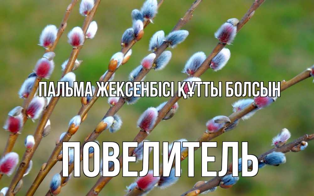 Күн сайын ашық хат с именем, Повелитель Пальма жексенбісі құтты болсын верба Онлайн тегін жүктеп алу тілектері бар керемет карта 