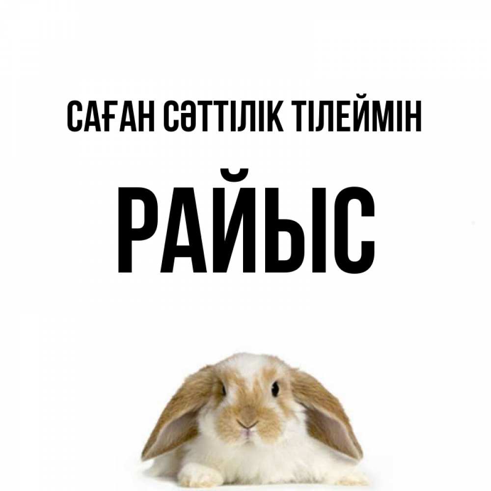 Күн сайын ашық хат с именем, РАЙЫС Саған сәттілік тілеймін открытки с произвольным текстом который можно вставить в открытку и создать ее самостоятельно бесплатно онлайн Онлайн тегін жүктеп алу тілектері бар керемет карта 