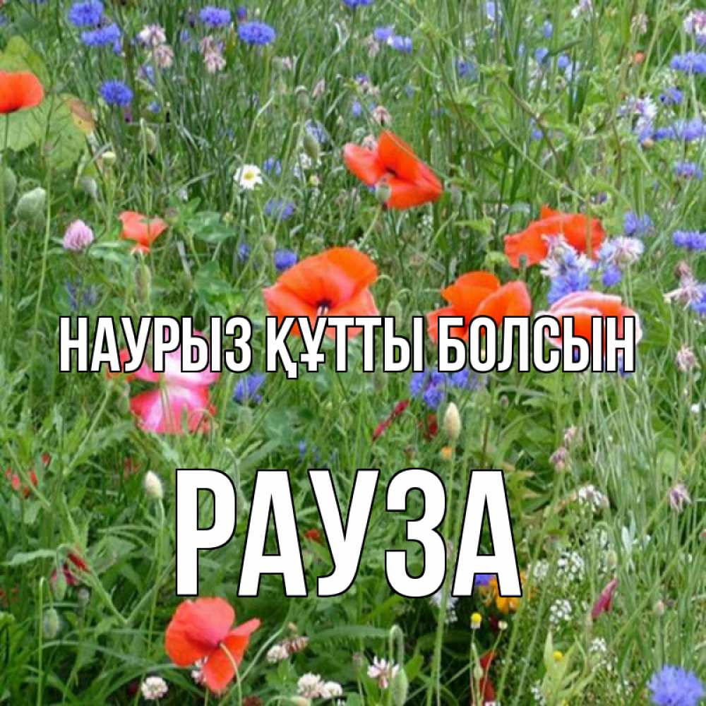 Күн сайын ашық хат с именем, РАУЗА Наурыз құтты болсын наурыз  4 Онлайн тегін жүктеп алу тілектері бар керемет карта 