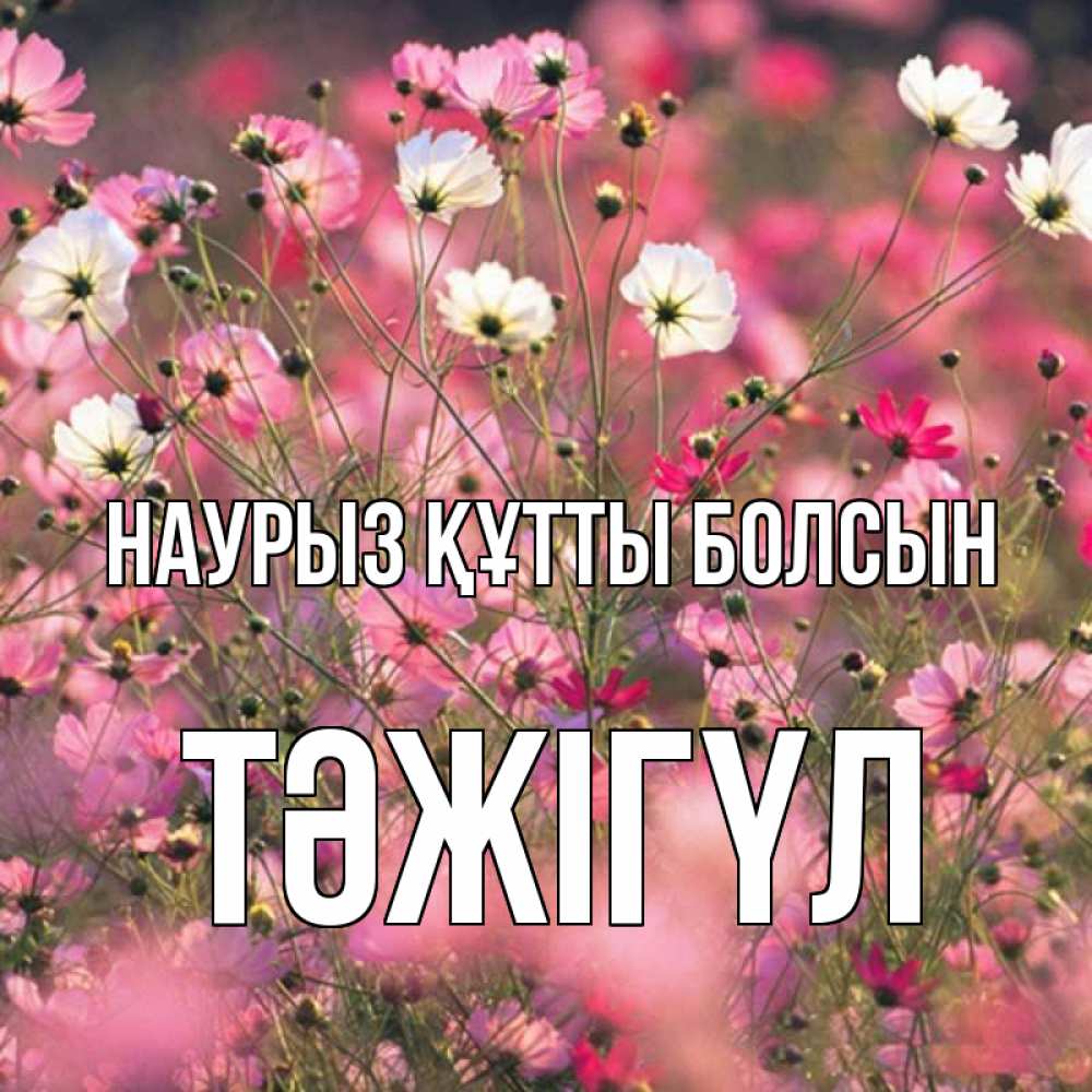 Күн сайын ашық хат с именем, ТӘЖІГҮЛ Наурыз құтты болсын красиво 1 Онлайн тегін жүктеп алу тілектері бар керемет карта 