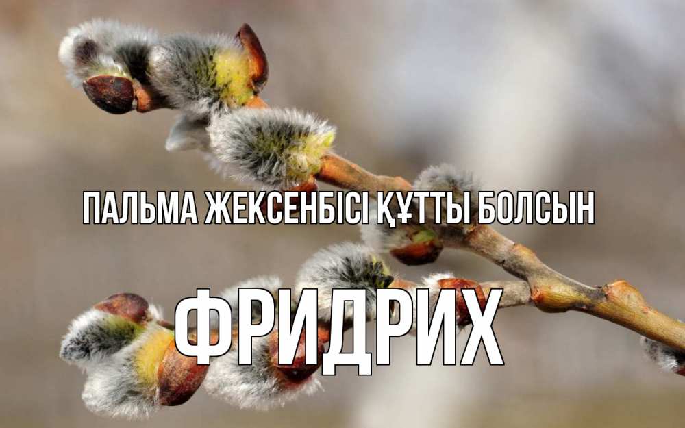 Күн сайын ашық хат с именем, Фридрих Пальма жексенбісі құтты болсын Верба Онлайн тегін жүктеп алу тілектері бар керемет карта 