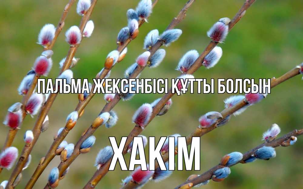 Күн сайын ашық хат с именем, ХАКІМ Пальма жексенбісі құтты болсын верба Онлайн тегін жүктеп алу тілектері бар керемет карта 