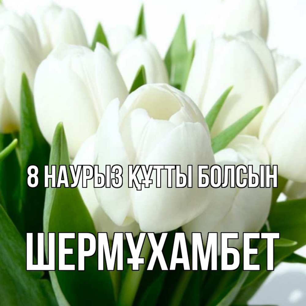 Күн сайын ашық хат с именем, ШЕРМҰХАМБЕТ 8 наурыз құтты болсын цветы Онлайн тегін жүктеп алу тілектері бар керемет карта 