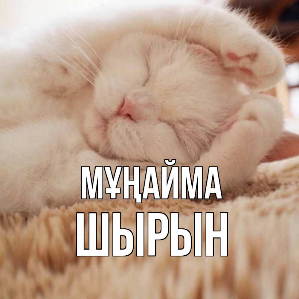 Күн сайын ашық хат с именем, ШЫРЫН Мұңайма белый кот Онлайн тегін жүктеп алу тілектері бар керемет карта 