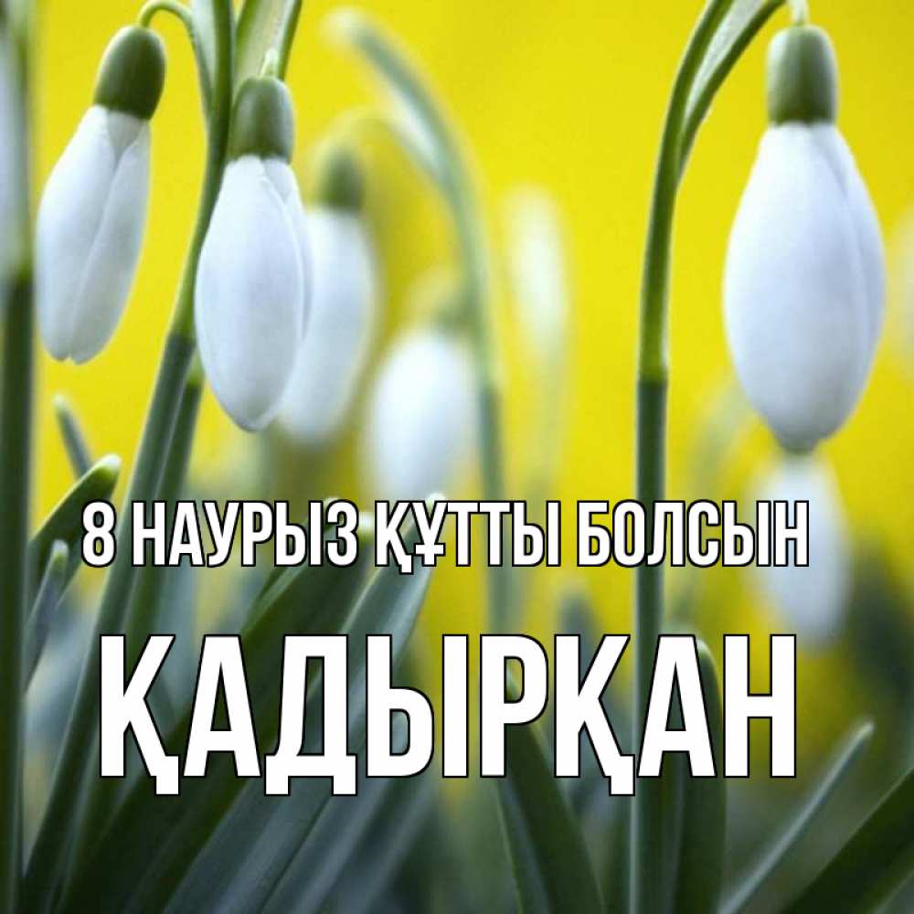 Күн сайын ашық хат с именем, Қадырқан 8 наурыз құтты болсын весенние цветы Онлайн тегін жүктеп алу тілектері бар керемет карта 