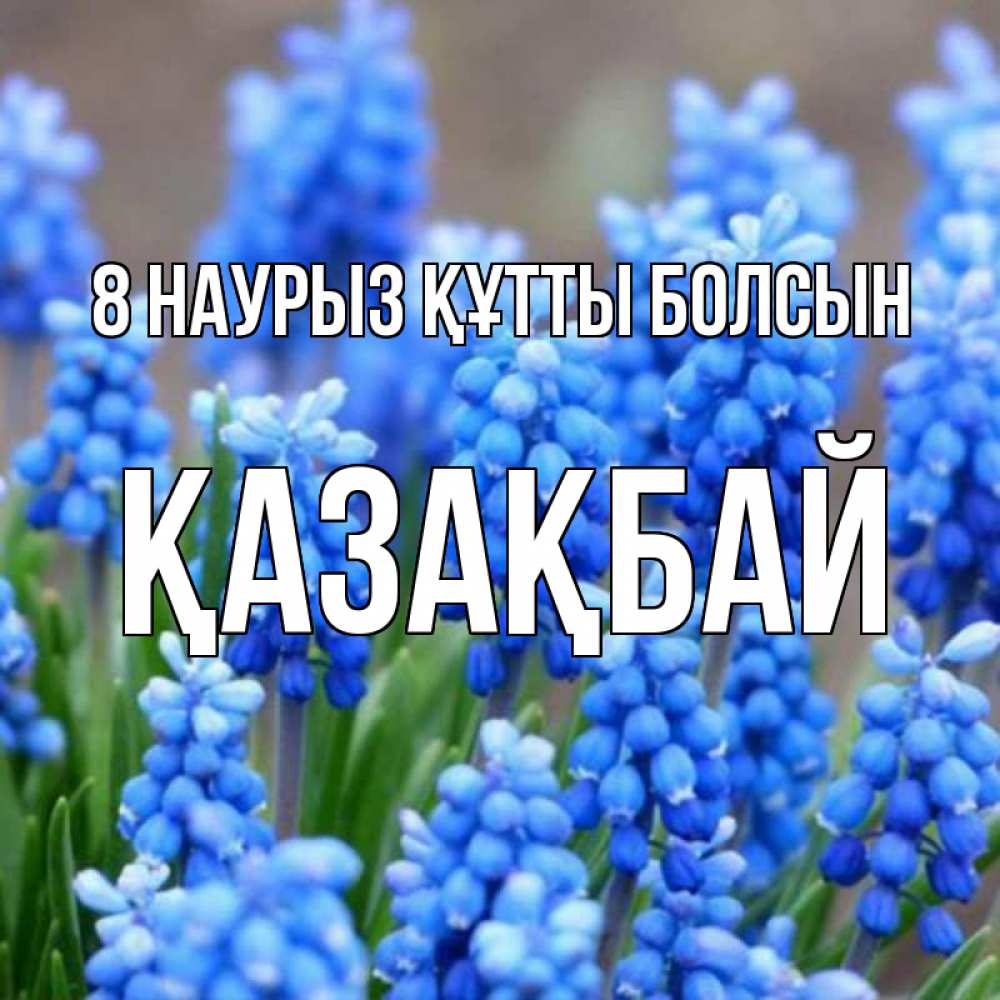 Күн сайын ашық хат с именем, Қазақбай 8 наурыз құтты болсын Поздравительная открытка для женщин с цветами на праздничную дату Онлайн тегін жүктеп алу тілектері бар керемет карта 