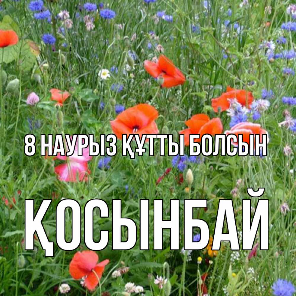 Күн сайын ашық хат с именем, ҚОСЫНБАЙ 8 наурыз құтты болсын международный женский день 4 Онлайн тегін жүктеп алу тілектері бар керемет карта 