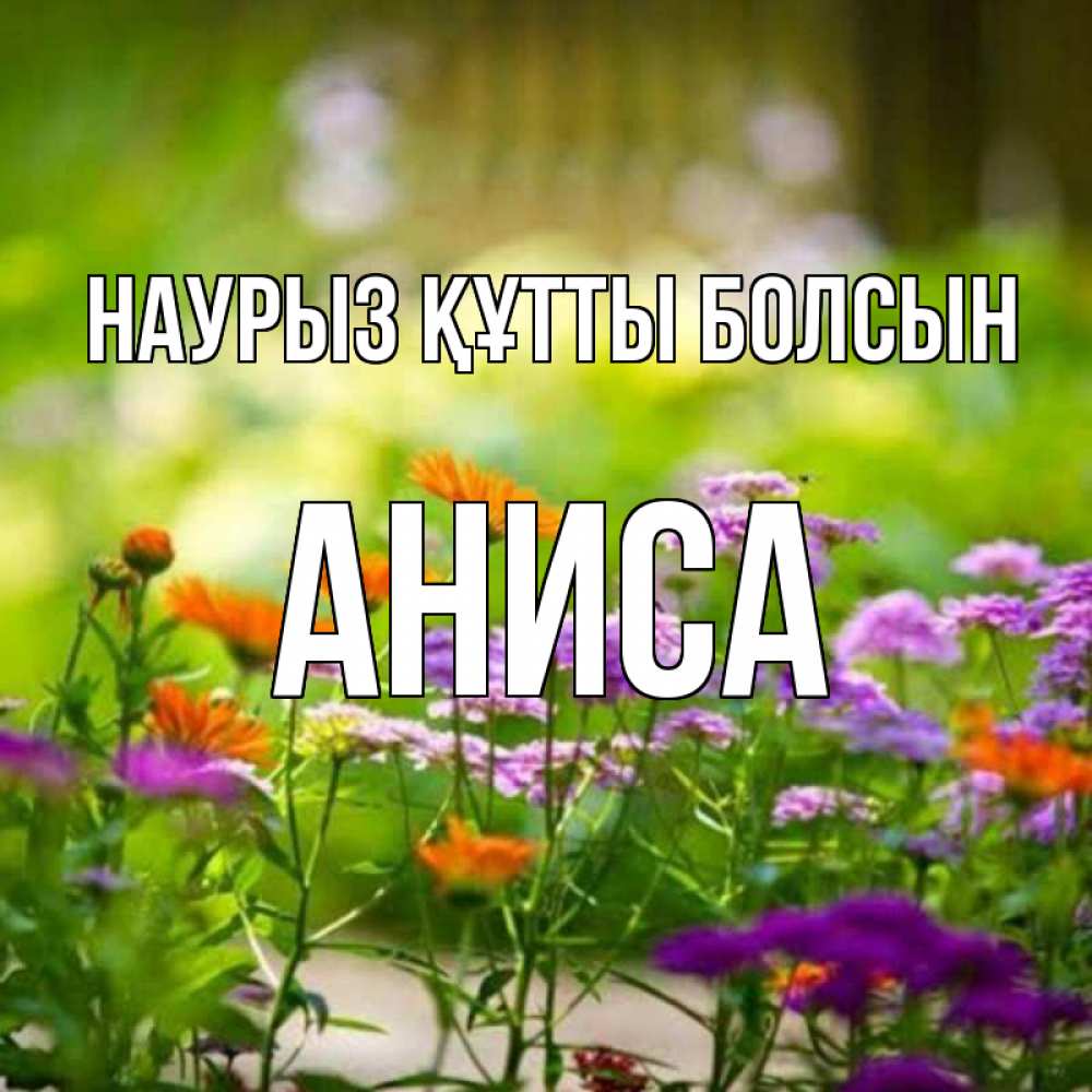 Күн сайын ашық хат с именем, АНИСА Наурыз құтты болсын цветы Онлайн тегін жүктеп алу тілектері бар керемет карта 