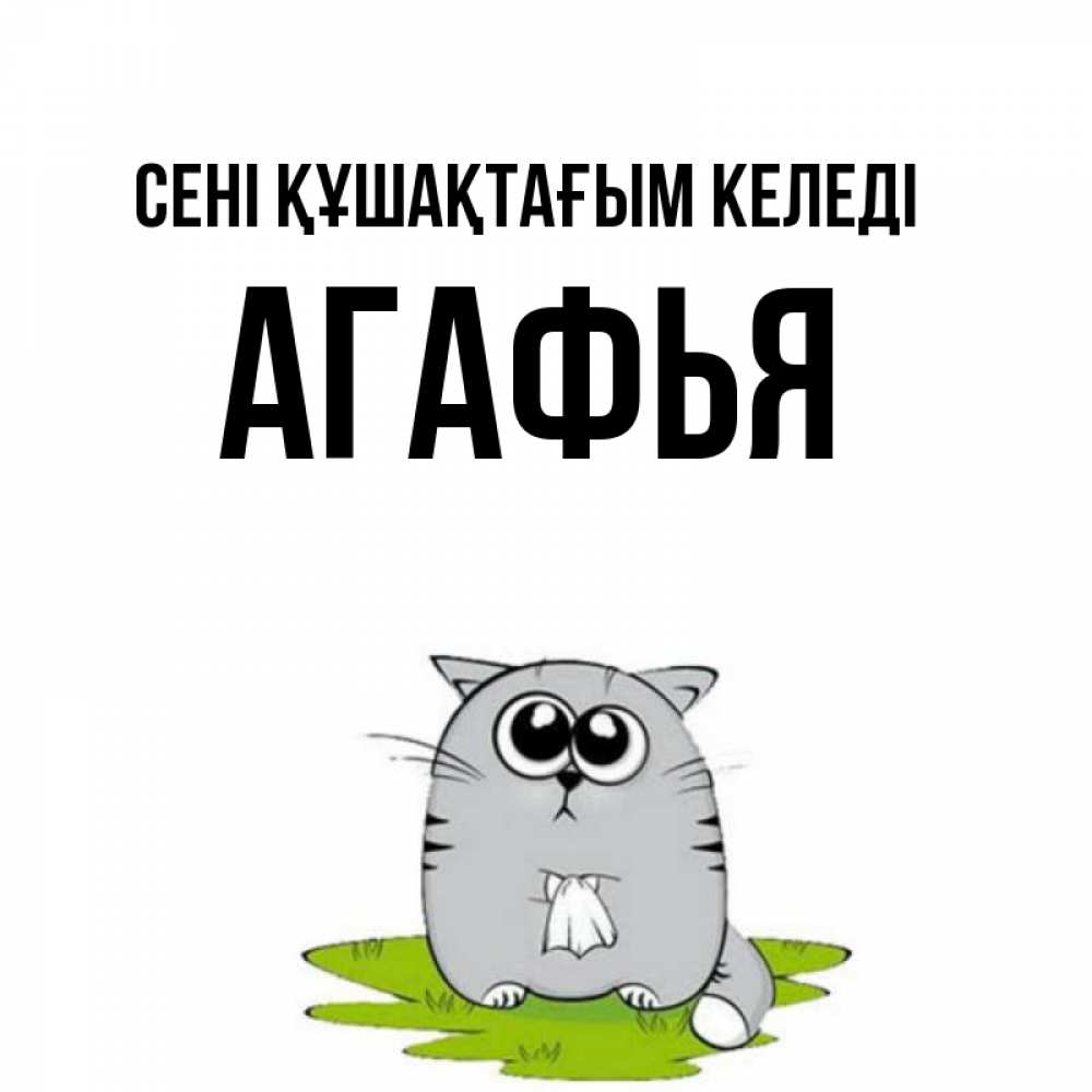 Күн сайын ашық хат с именем, Агафья сені құшақтағым келеді котик теребит платочек сидя на травке Онлайн тегін жүктеп алу тілектері бар керемет карта 