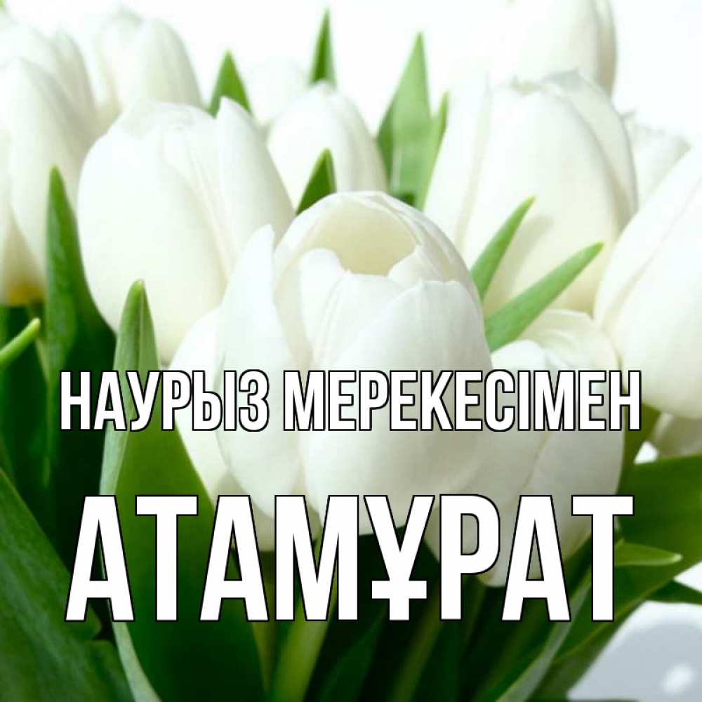 Күн сайын ашық хат с именем, Атамұрат Наурыз мерекесімен цветы Онлайн тегін жүктеп алу тілектері бар керемет карта 
