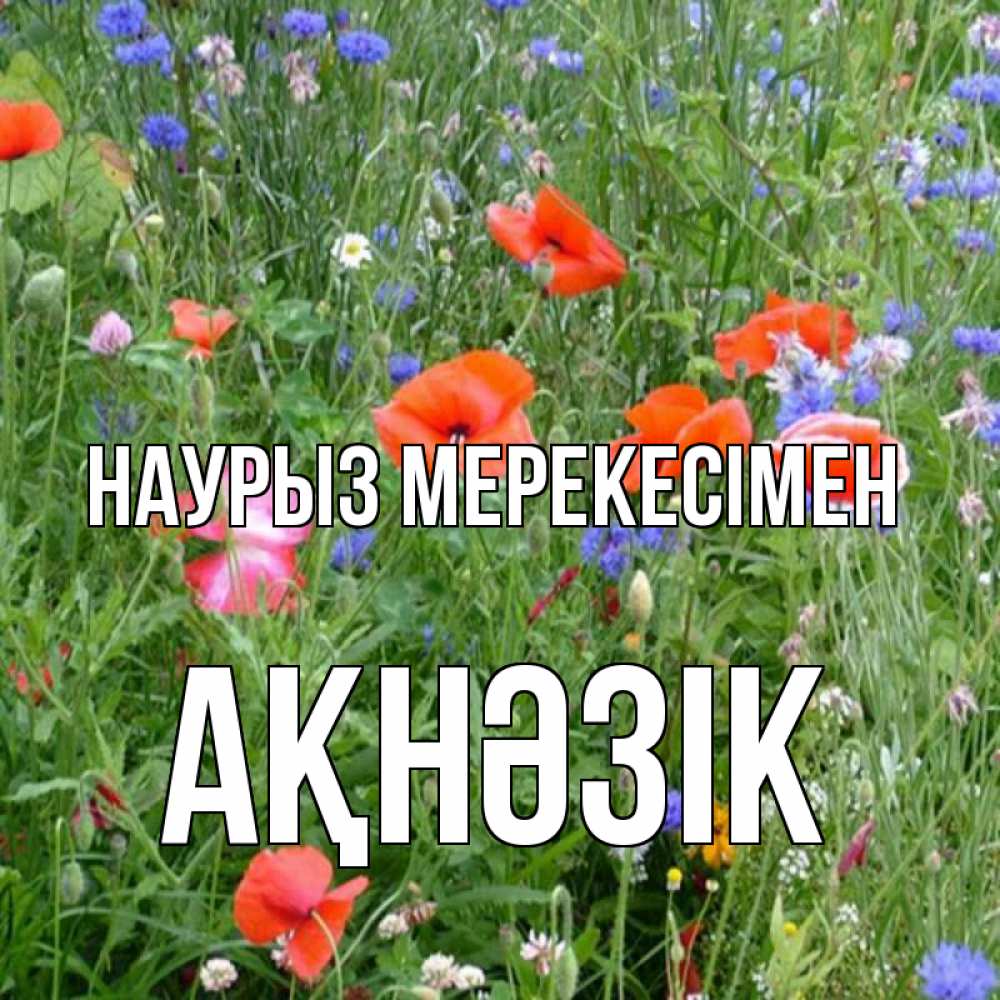 Күн сайын ашық хат с именем, АҚНӘЗІК Наурыз мерекесімен праздник весны наурыз супер открытка Онлайн тегін жүктеп алу тілектері бар керемет карта 