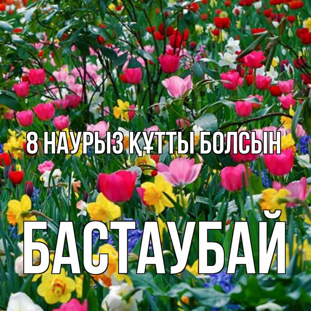 Күн сайын ашық хат с именем, Бастаубай 8 наурыз құтты болсын с международным женским днем поздравления для женщины Онлайн тегін жүктеп алу тілектері бар керемет карта 