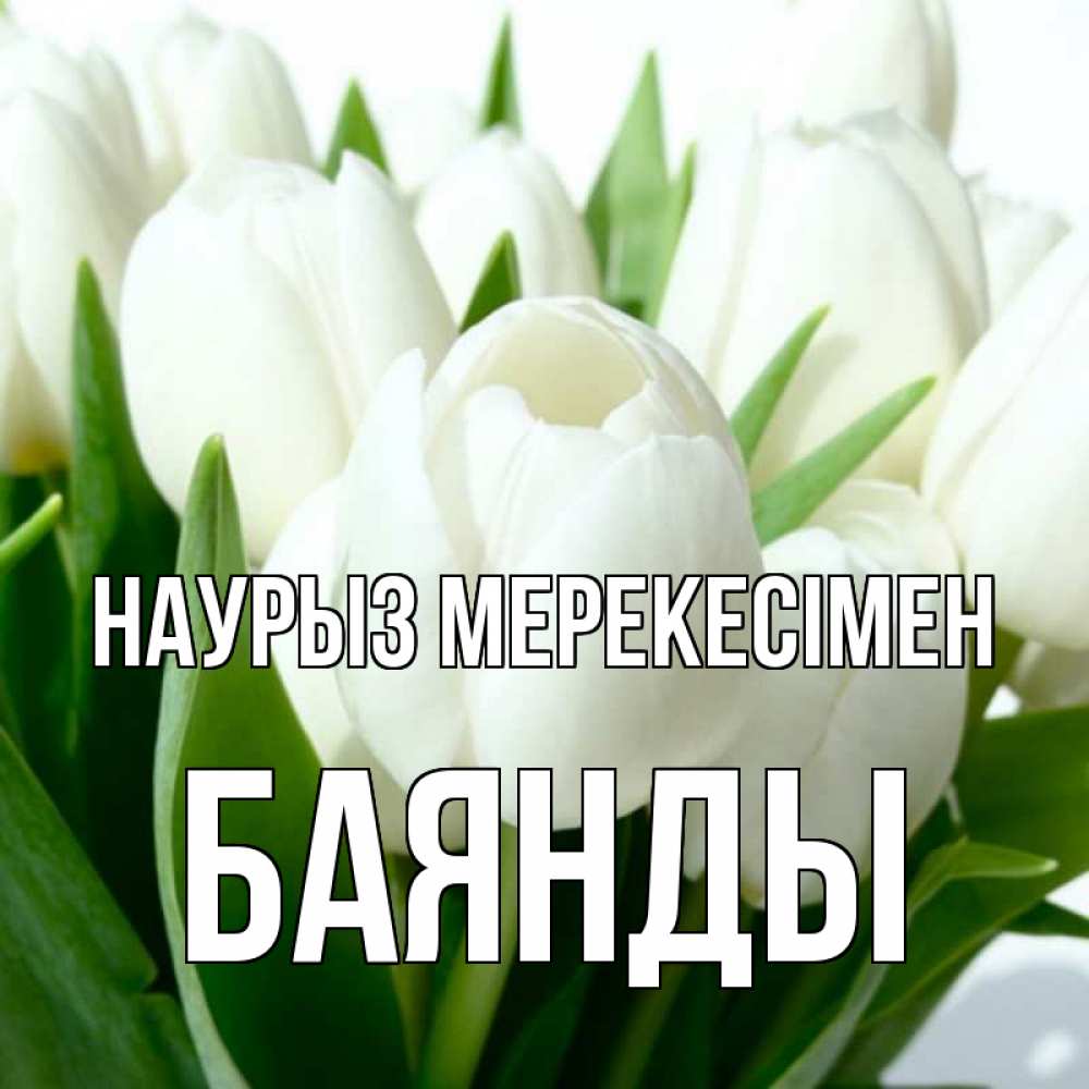 Күн сайын ашық хат с именем, Баянды Наурыз мерекесімен цветы Онлайн тегін жүктеп алу тілектері бар керемет карта 