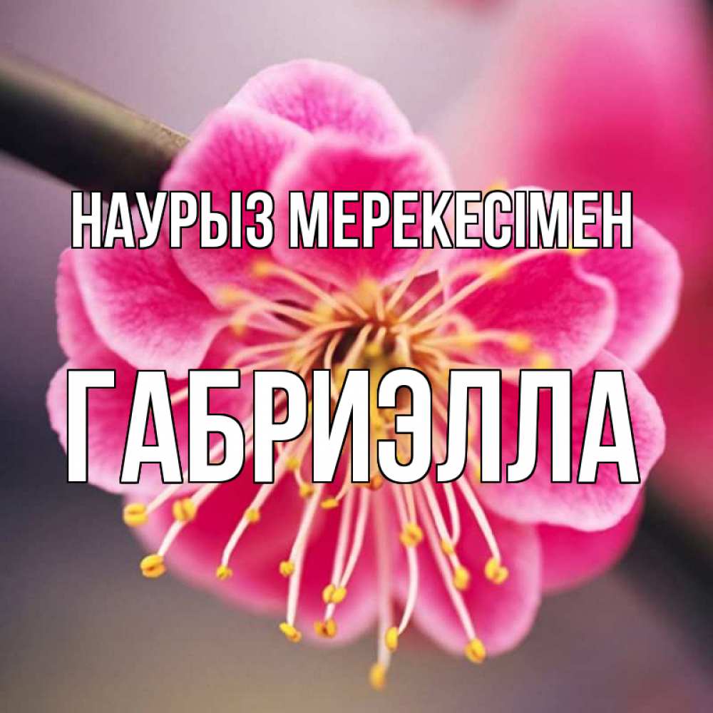 Күн сайын ашық хат с именем, Габриэлла Наурыз мерекесімен цветы Онлайн тегін жүктеп алу тілектері бар керемет карта 