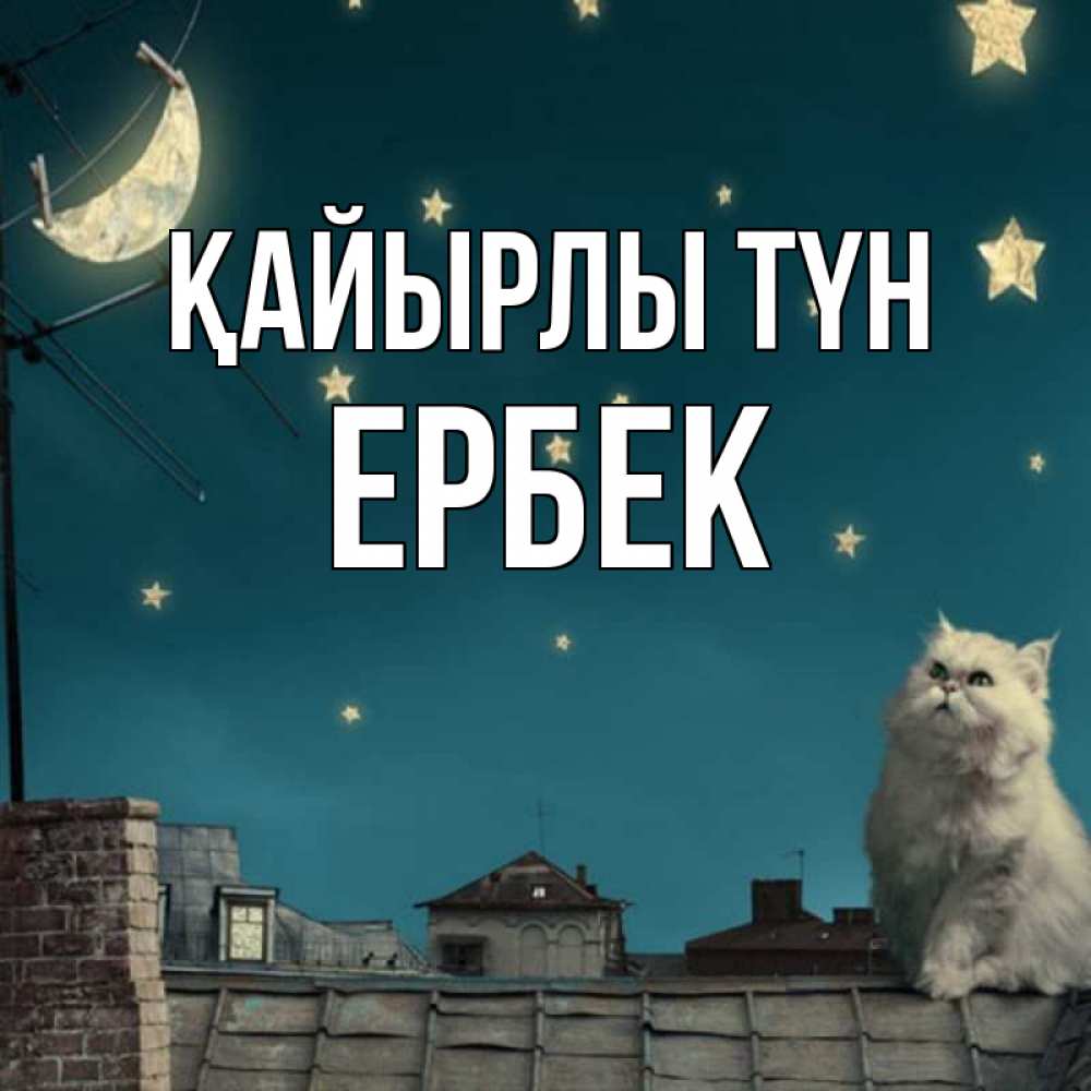 Күн сайын ашық хат с именем, Ербек Қайырлы түн белый кот сидит на крыше Онлайн тегін жүктеп алу тілектері бар керемет карта 