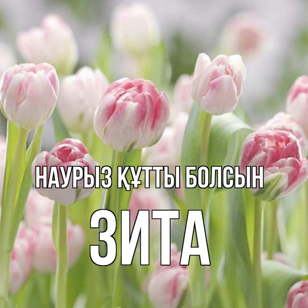 Күн сайын ашық хат с именем, Зита Наурыз құтты болсын цветы Онлайн тегін жүктеп алу тілектері бар керемет карта 