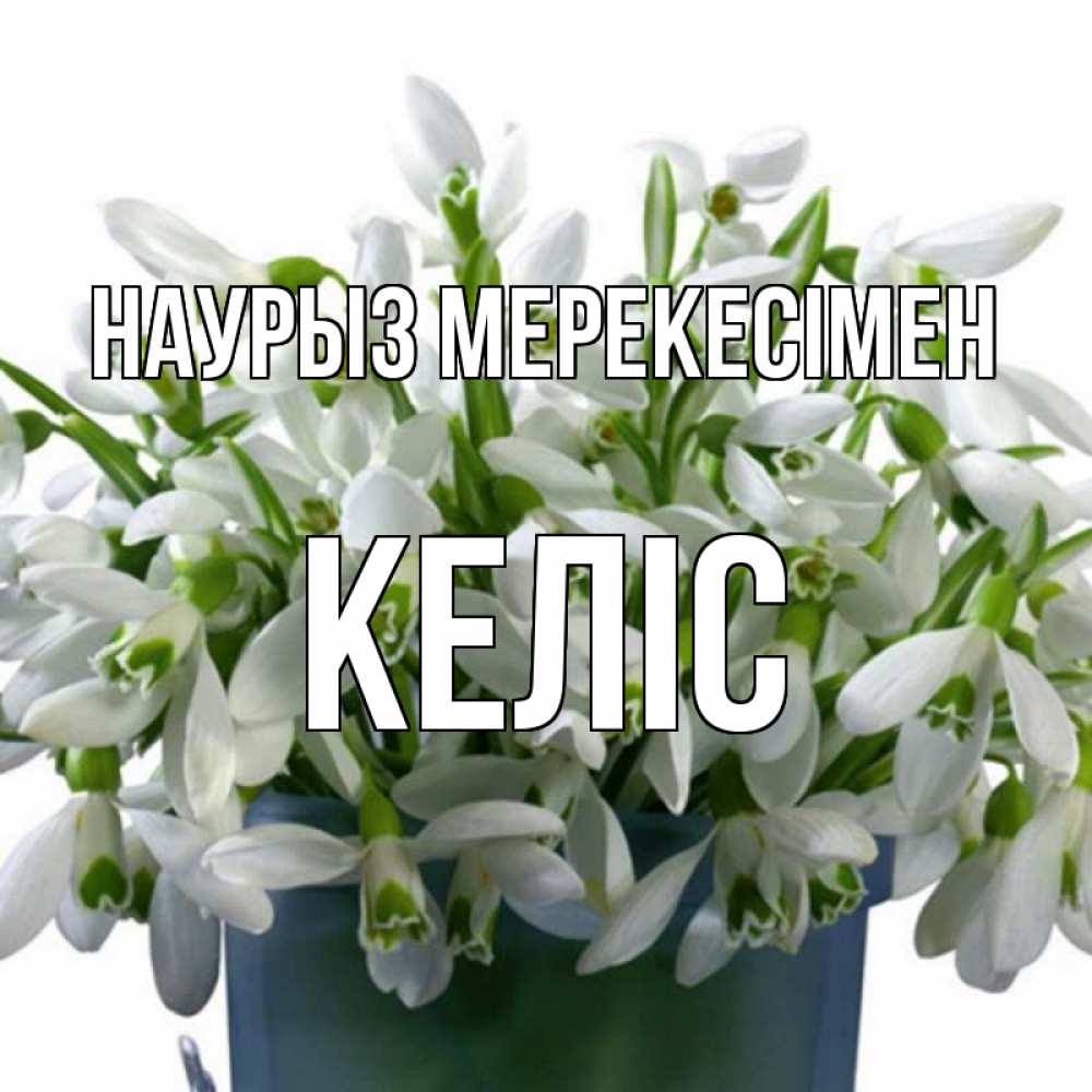 Күн сайын ашық хат с именем, Келіс Наурыз мерекесімен цветы к наурызу новый год в Казахстане Онлайн тегін жүктеп алу тілектері бар керемет карта 
