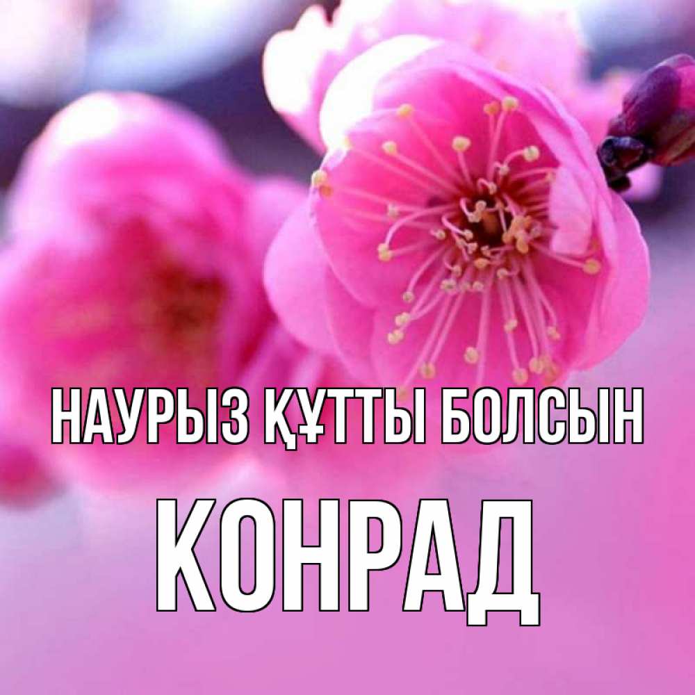 Күн сайын ашық хат с именем, Конрад Наурыз құтты болсын наурыз мейрам Онлайн тегін жүктеп алу тілектері бар керемет карта 
