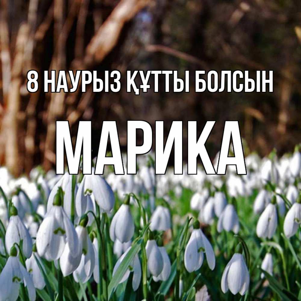 Күн сайын ашық хат с именем, Марика 8 наурыз құтты болсын с подснежниками 1 Онлайн тегін жүктеп алу тілектері бар керемет карта 