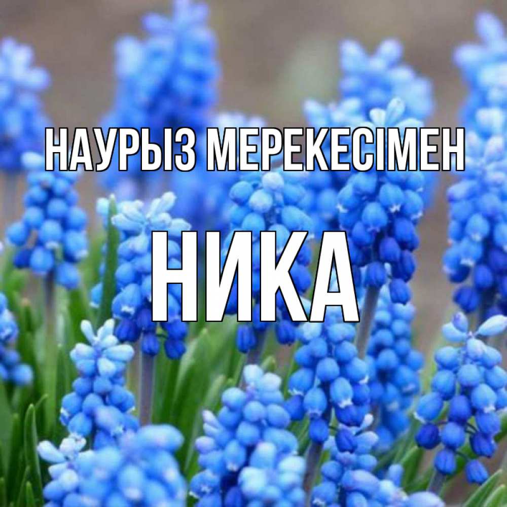 Күн сайын ашық хат с именем, Ника Наурыз мерекесімен Поздравительная открытка для женщин с цветами на праздничную дату Онлайн тегін жүктеп алу тілектері бар керемет карта 