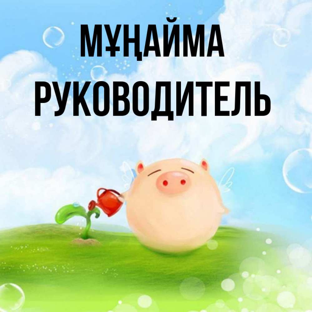 Күн сайын ашық хат с именем, Руководитель Мұңайма поливает цветок порося Онлайн тегін жүктеп алу тілектері бар керемет карта 