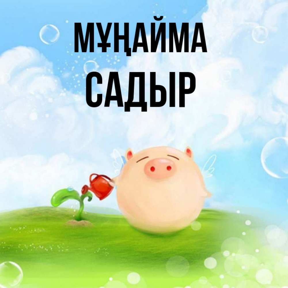 Күн сайын ашық хат с именем, САДЫР Мұңайма поливает цветок порося Онлайн тегін жүктеп алу тілектері бар керемет карта 