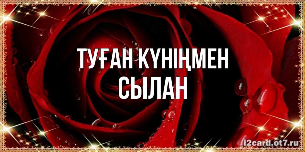 Күн сайын ашық хат с именем, СЫЛАН Туған күніңмен цветок в росе на день рождения Онлайн тегін жүктеп алу тілектері бар керемет карта 