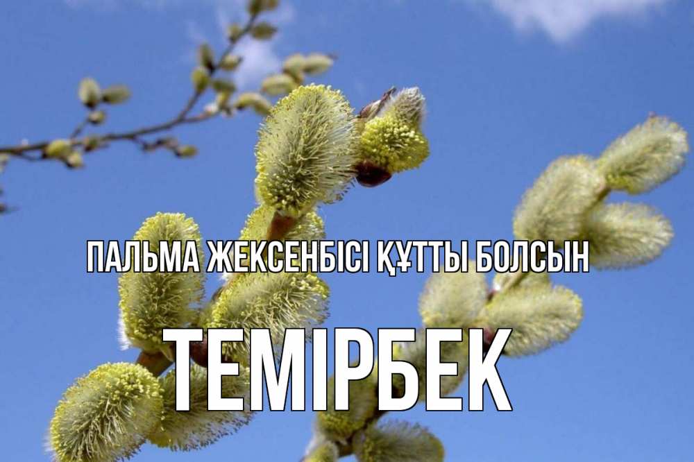 Күн сайын ашық хат с именем, ТЕМІРБЕК Пальма жексенбісі құтты болсын верба Онлайн тегін жүктеп алу тілектері бар керемет карта 