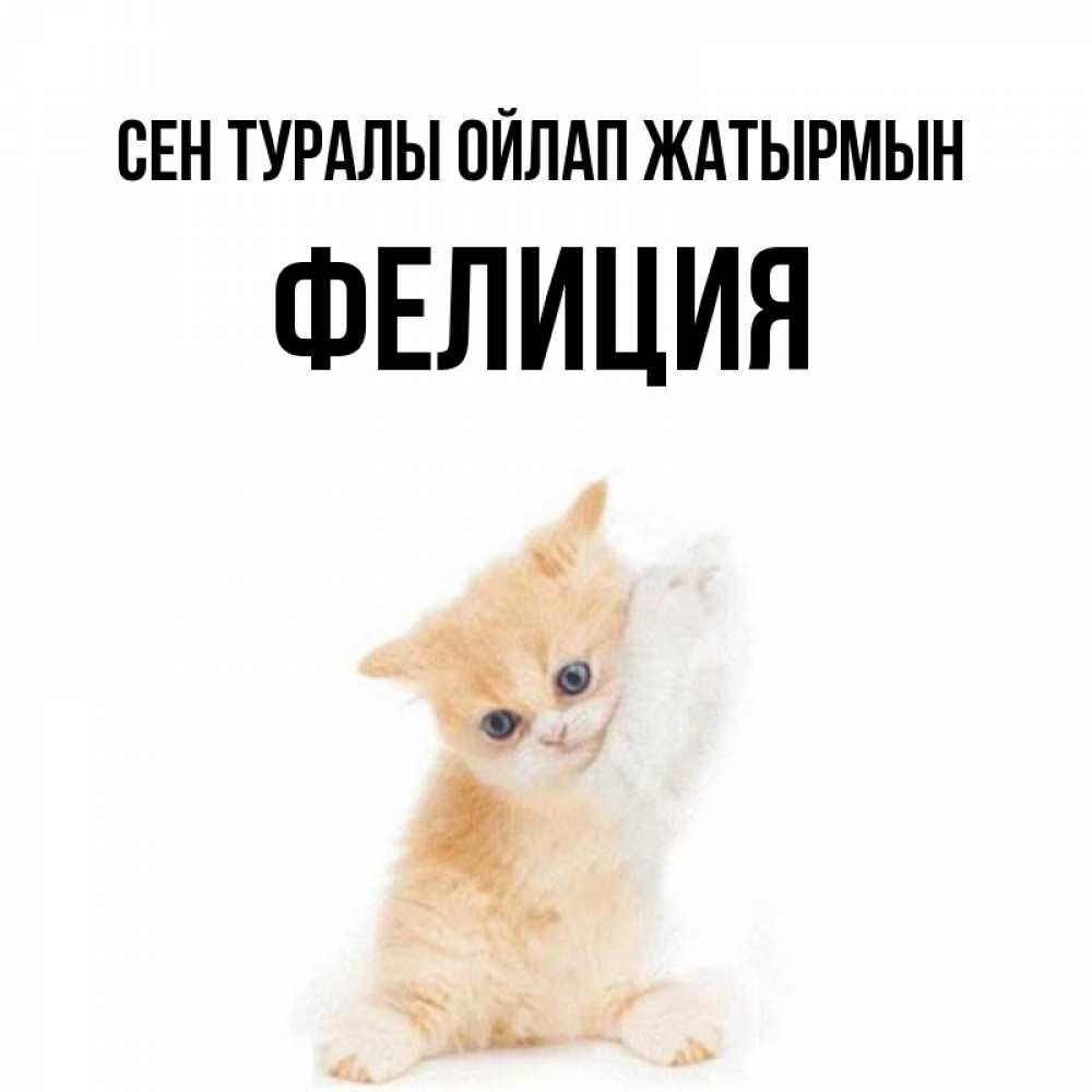Күн сайын ашық хат с именем, Фелиция Сен туралы ойлап жатырмын зверушки и милота Онлайн тегін жүктеп алу тілектері бар керемет карта 