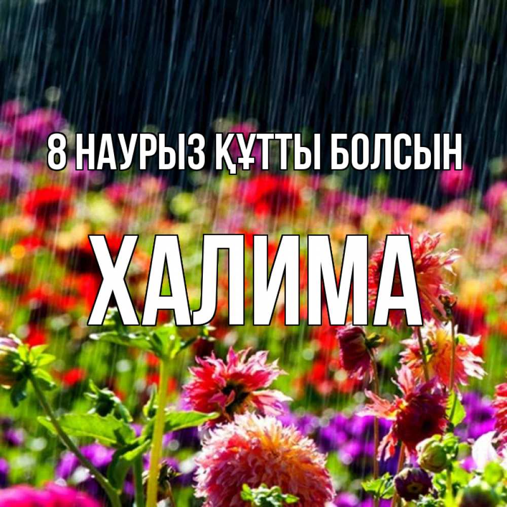 Күн сайын ашық хат с именем, ХАЛИМА 8 наурыз құтты болсын цветы под дождиком к международному женскому дню Онлайн тегін жүктеп алу тілектері бар керемет карта 