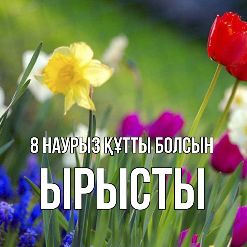 Күн сайын ашық хат с именем, ЫРЫСТЫ 8 наурыз құтты болсын международный женский день 3 Онлайн тегін жүктеп алу тілектері бар керемет карта 