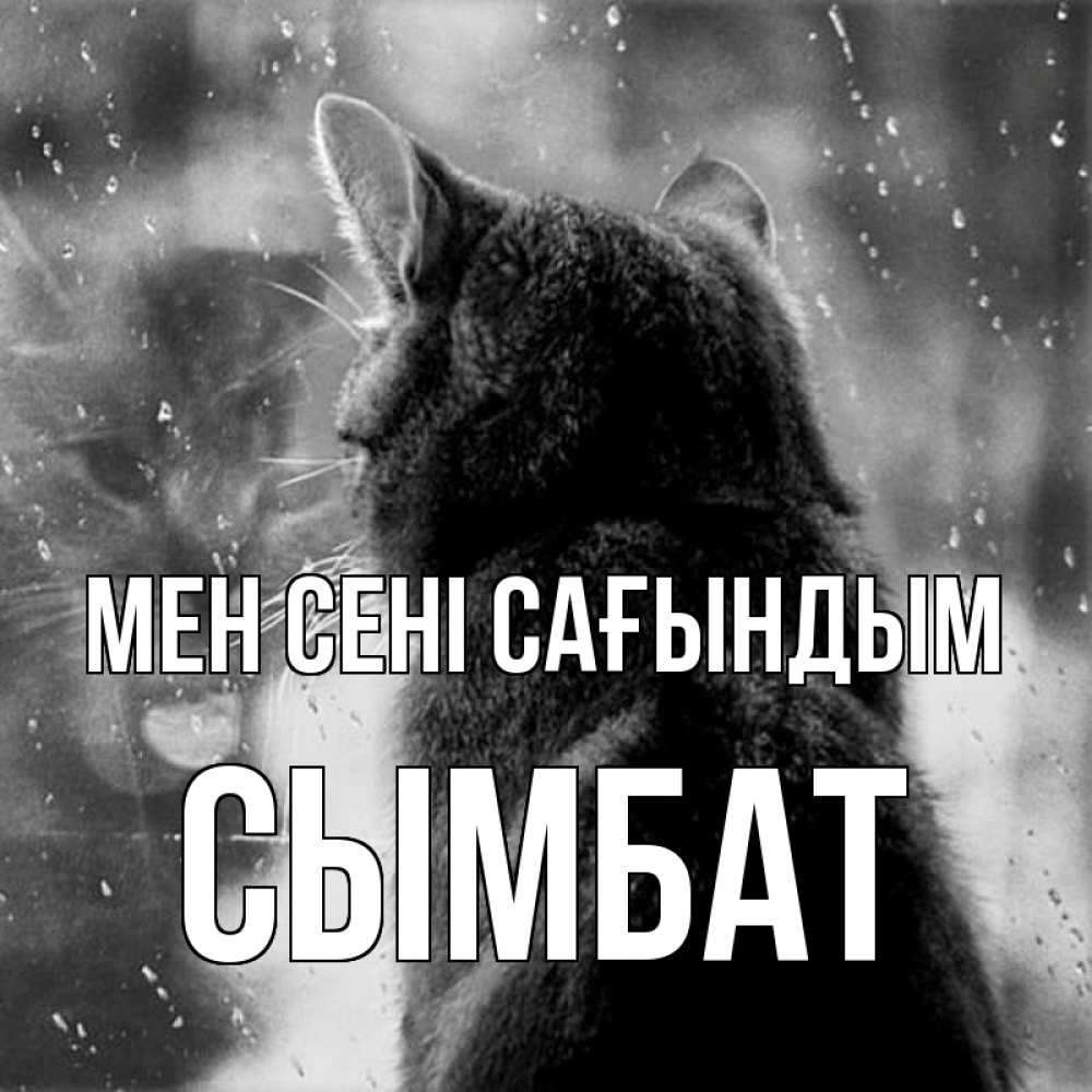 Күн сайын ашық хат с именем, СЫМБАТ Мен сені сағындым скорее ко мне приходи 1 Онлайн тегін жүктеп алу тілектері бар керемет карта 