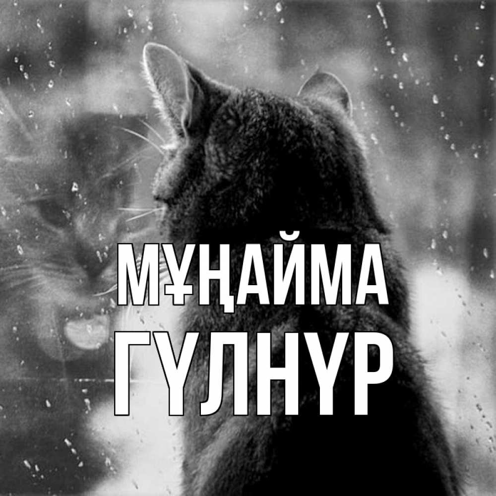 Күн сайын ашық хат с именем, ГҮЛНҮР Мұңайма отражение кота 1 Онлайн тегін жүктеп алу тілектері бар керемет карта 