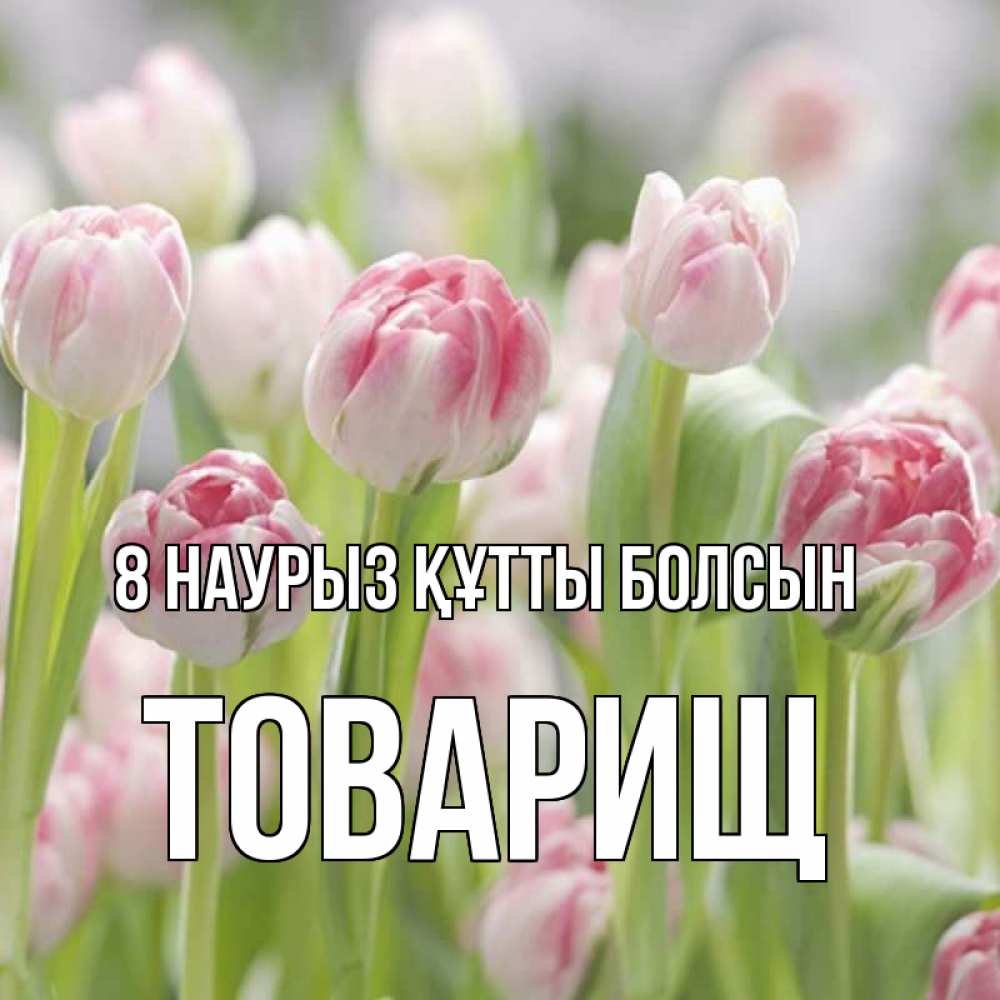 Күн сайын ашық хат с именем, Товарищ 8 наурыз құтты болсын цветы Онлайн тегін жүктеп алу тілектері бар керемет карта 