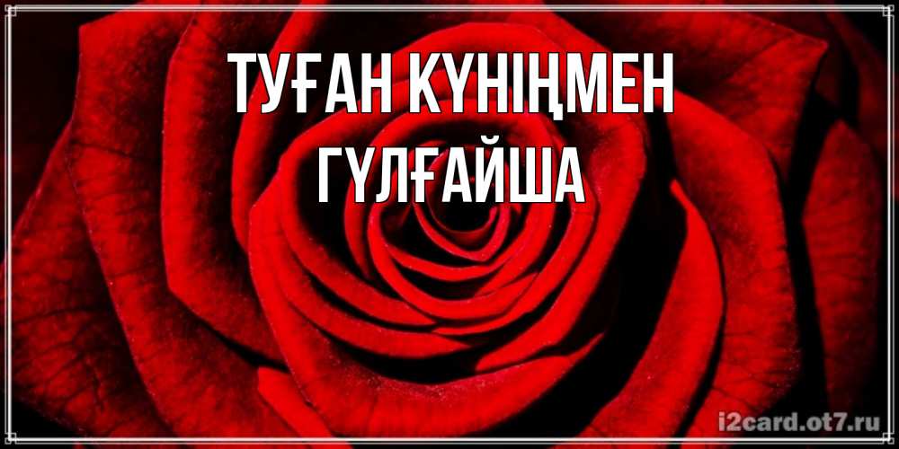 Күн сайын ашық хат с именем, ГҮЛҒАЙША Туған күніңмен алая роза Онлайн тегін жүктеп алу тілектері бар керемет карта 