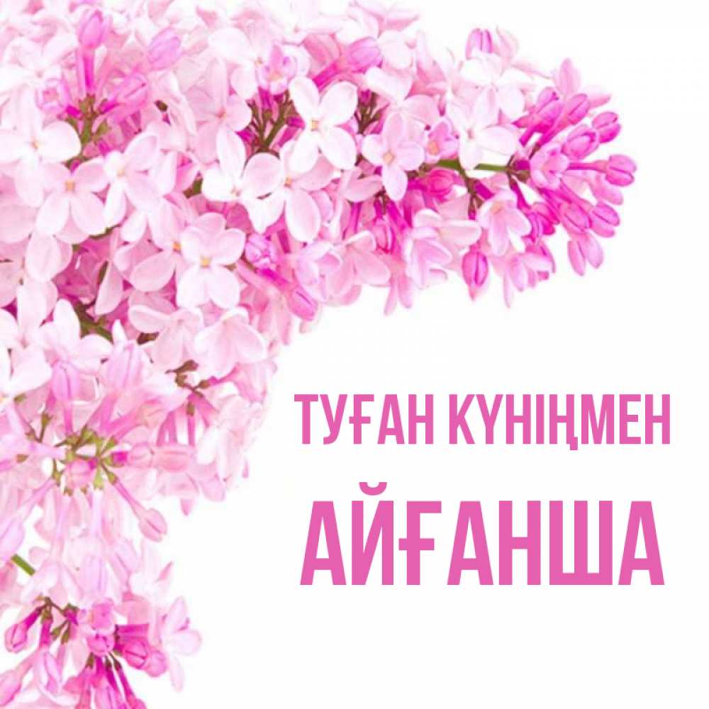 Күн сайын ашық хат с именем, АЙҒАНША Туған күніңмен Сирень на белом фоне Онлайн тегін жүктеп алу тілектері бар керемет карта 