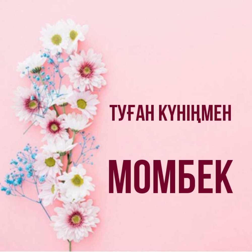 Күн сайын ашық хат с именем, МОМБЕК Туған күніңмен Родная моя с днем рождения тебя картинка с цветами белыми и голубыми Онлайн тегін жүктеп алу тілектері бар керемет карта 