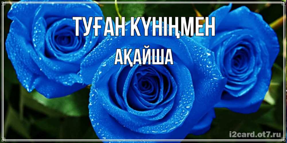 Күн сайын ашық хат с именем, АҚАЙША Туған күніңмен розы с синим цветом Онлайн тегін жүктеп алу тілектері бар керемет карта 