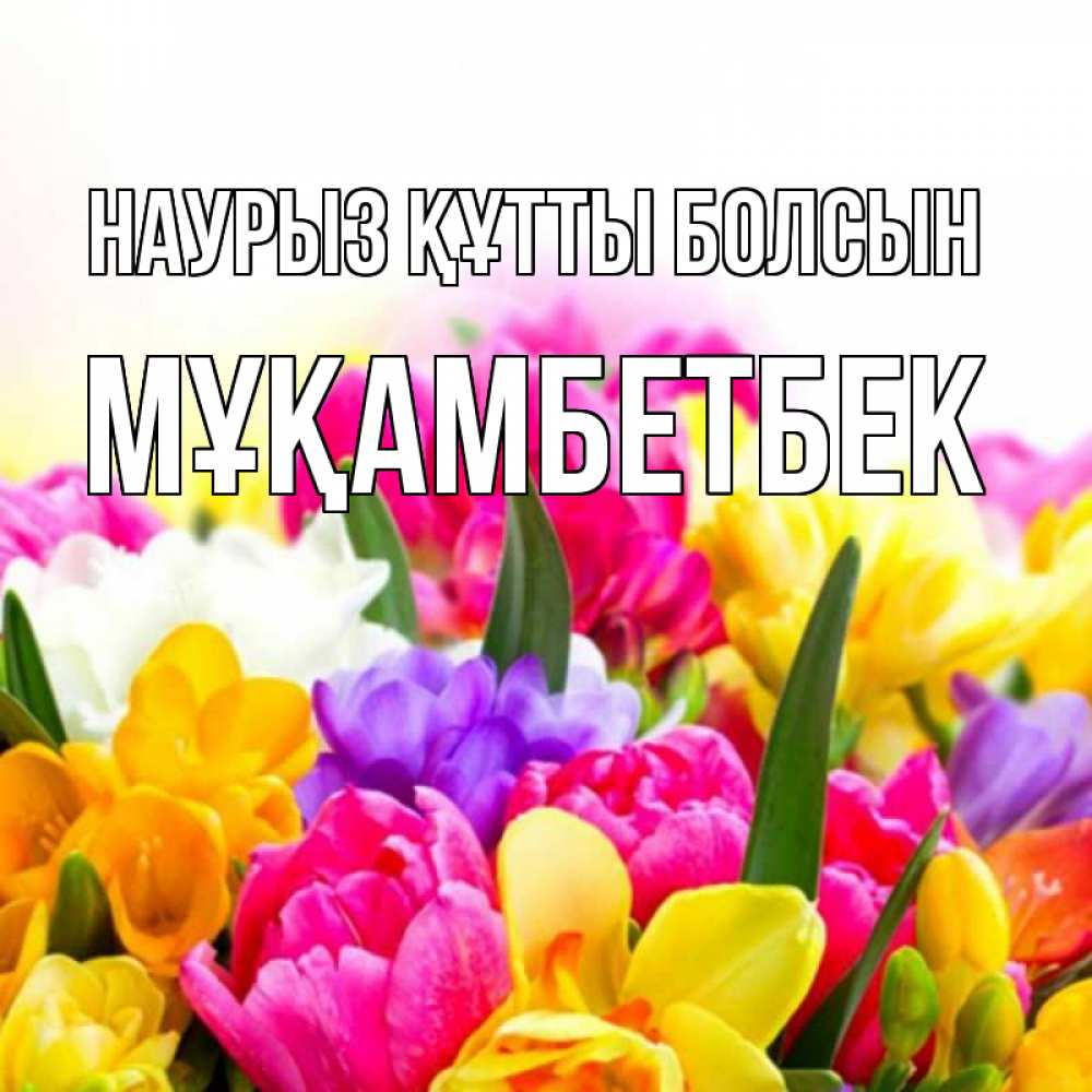 Күн сайын ашық хат с именем, Мұқамбетбек Наурыз құтты болсын тюльпаны Онлайн тегін жүктеп алу тілектері бар керемет карта 